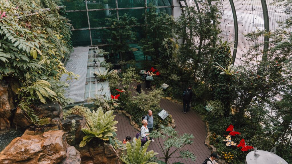 El Jardín de Mariposas del Aeropuerto Changi Foto: Changi Airport 